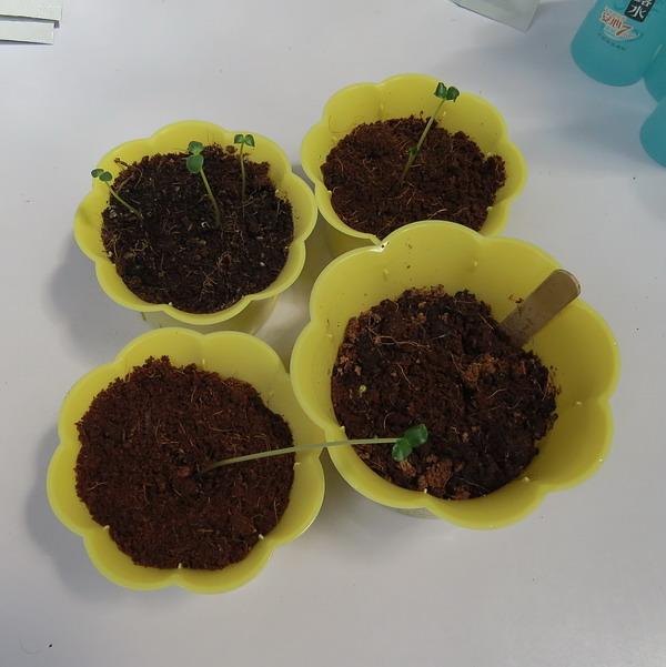 Ǿޱ�����ӳ�����